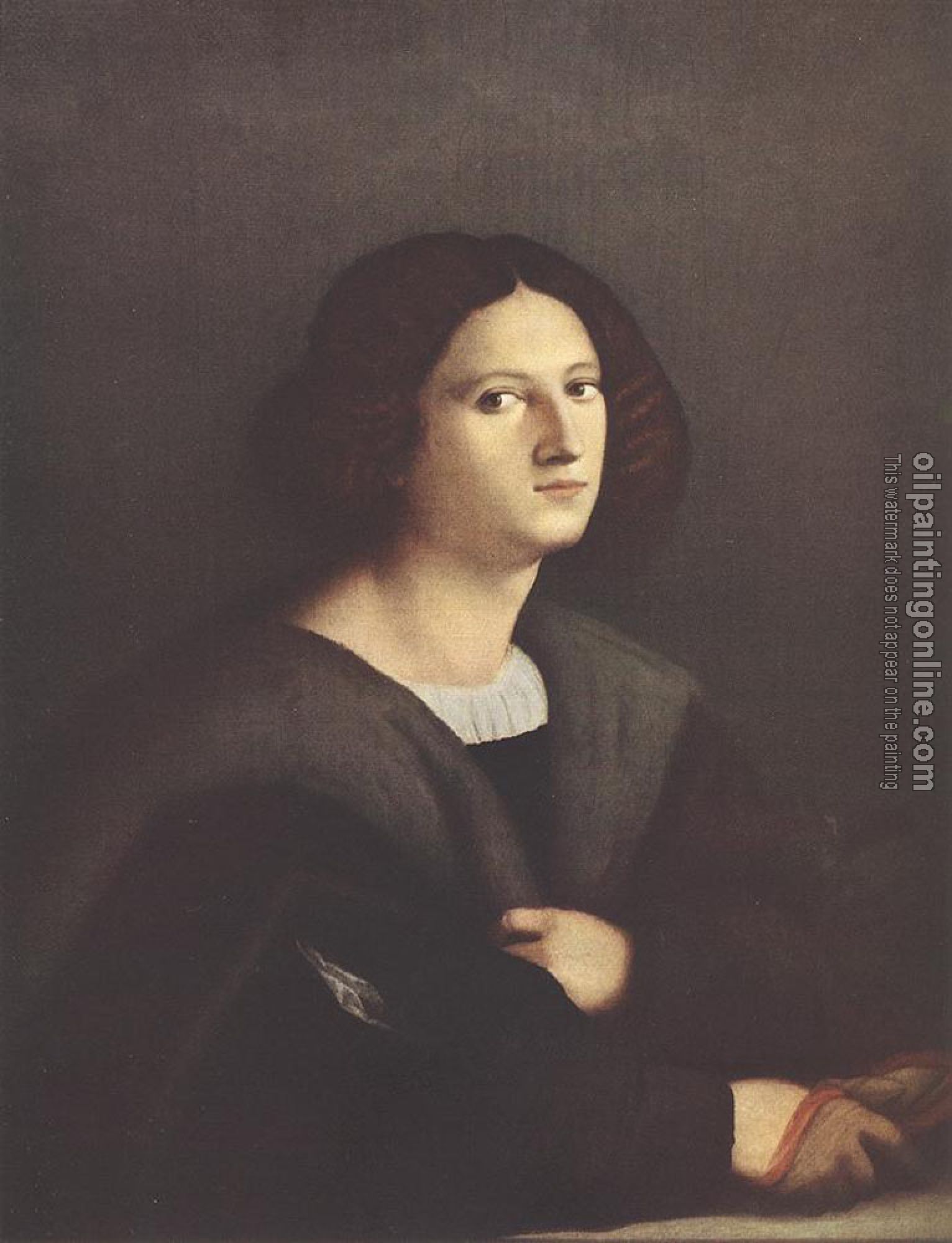 Jacopo, il vecchio Palma - Portrait Of A Man